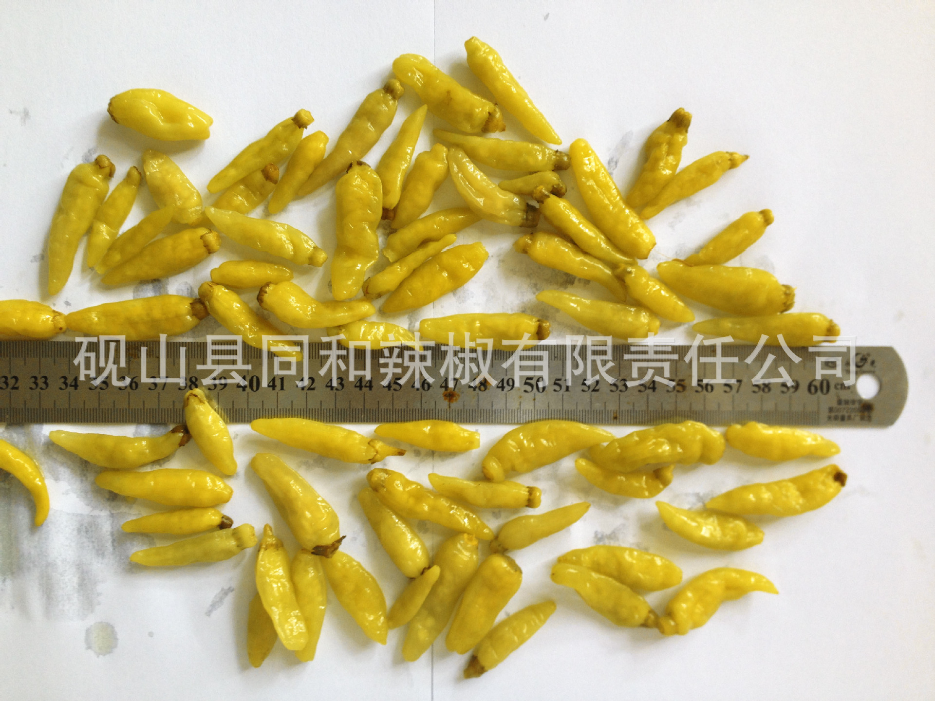 泡小米辣价格-行情-生产厂家