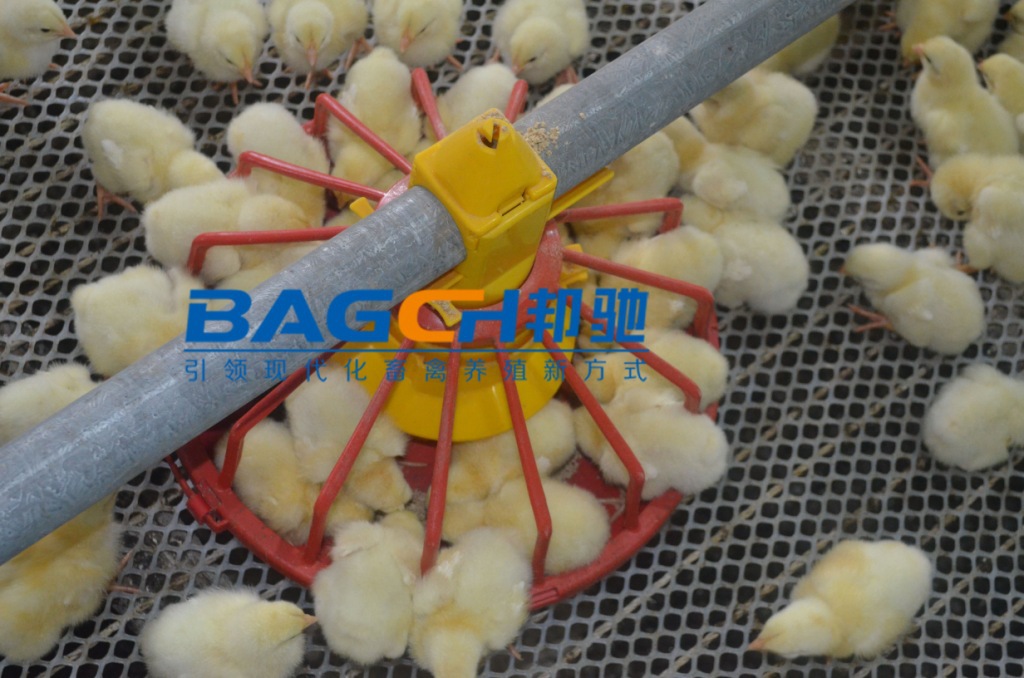 畜牧、养殖业机械-邦驰专业生产肉鸡自动料线