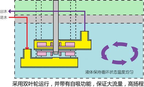 双叶轮