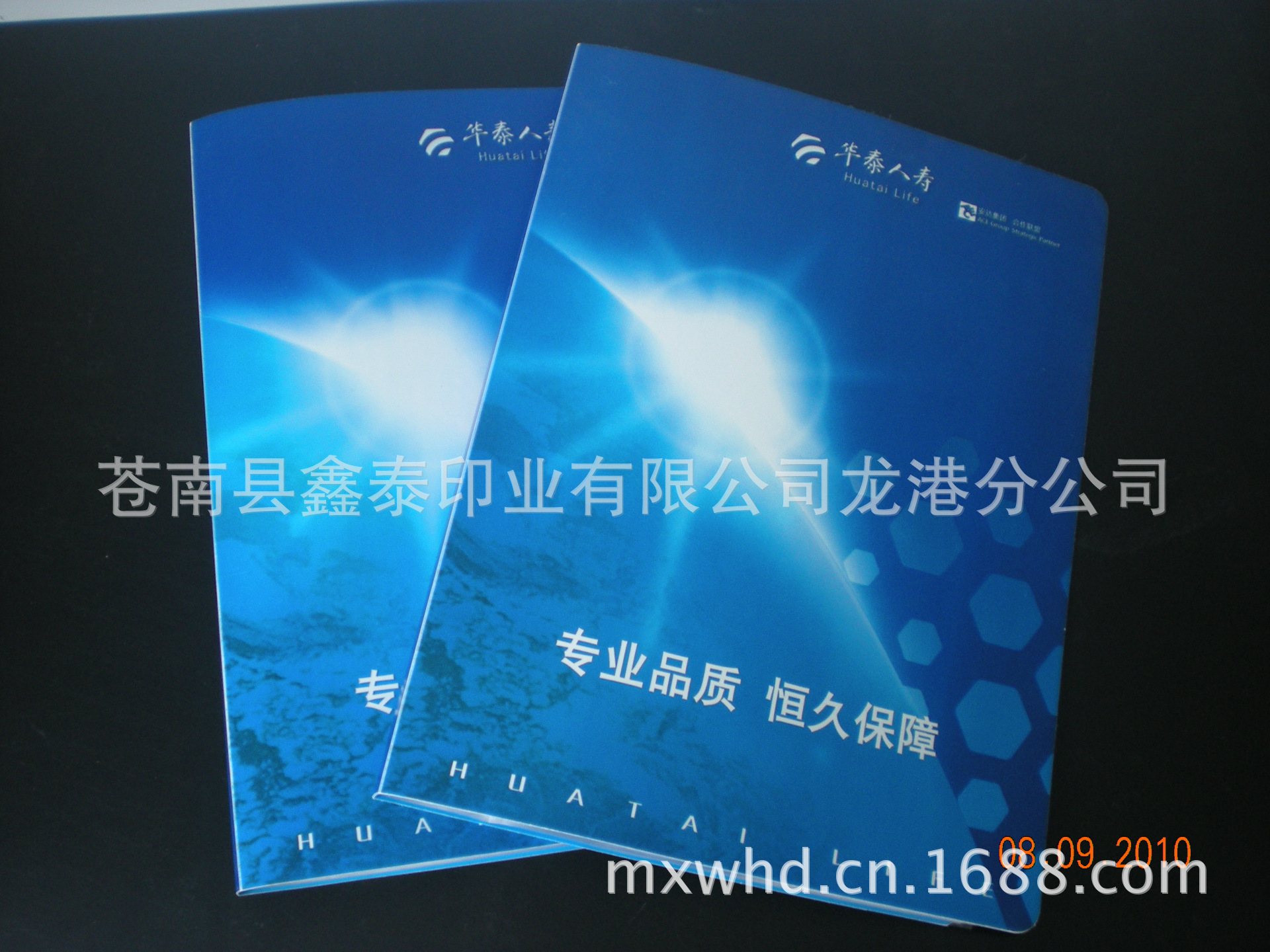 DSCN6349