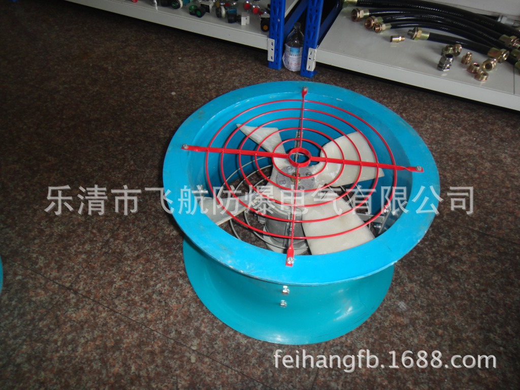 DSC03800