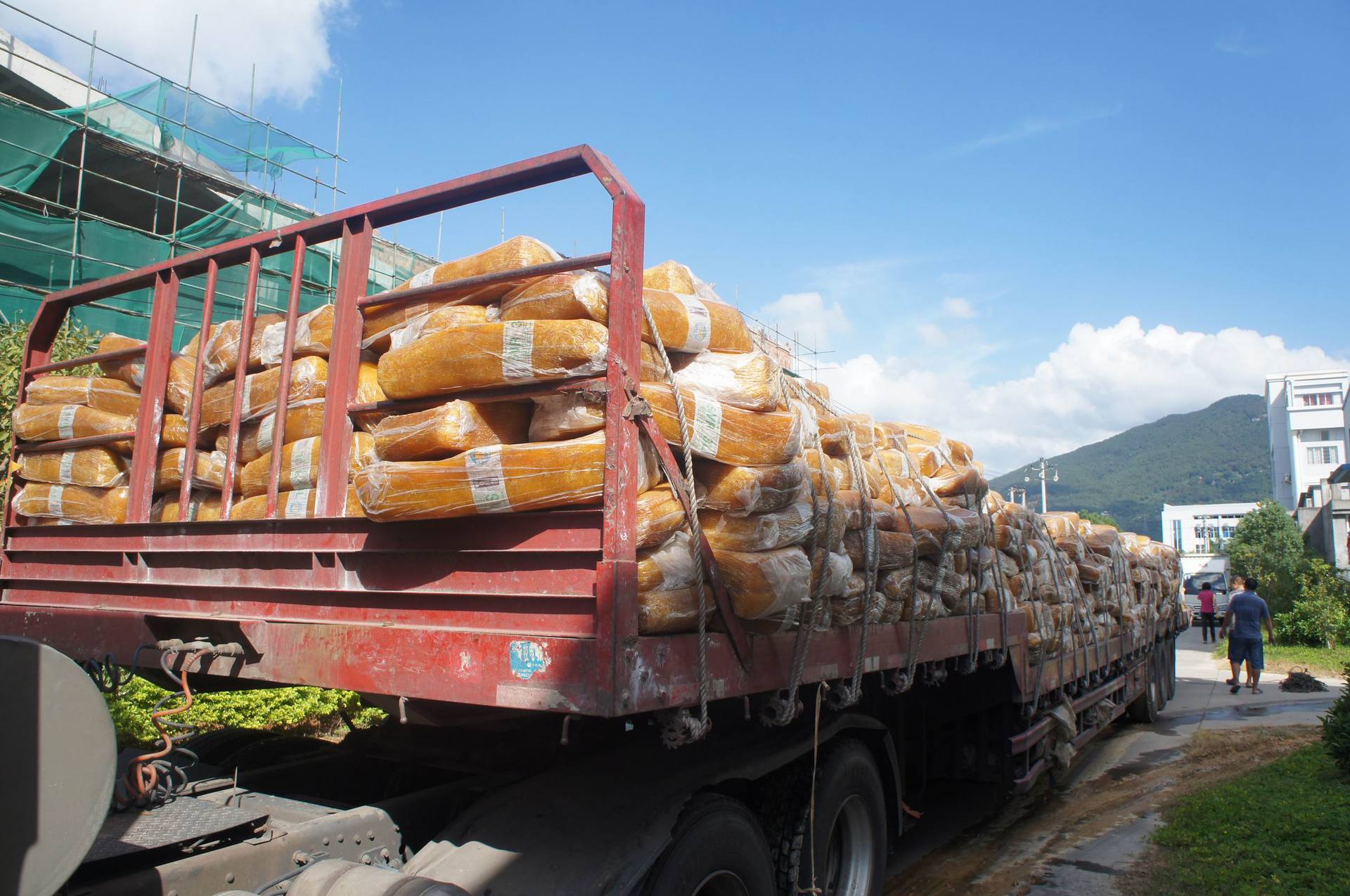 调整大小 DSC01817