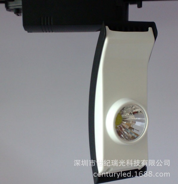 鲨鱼1