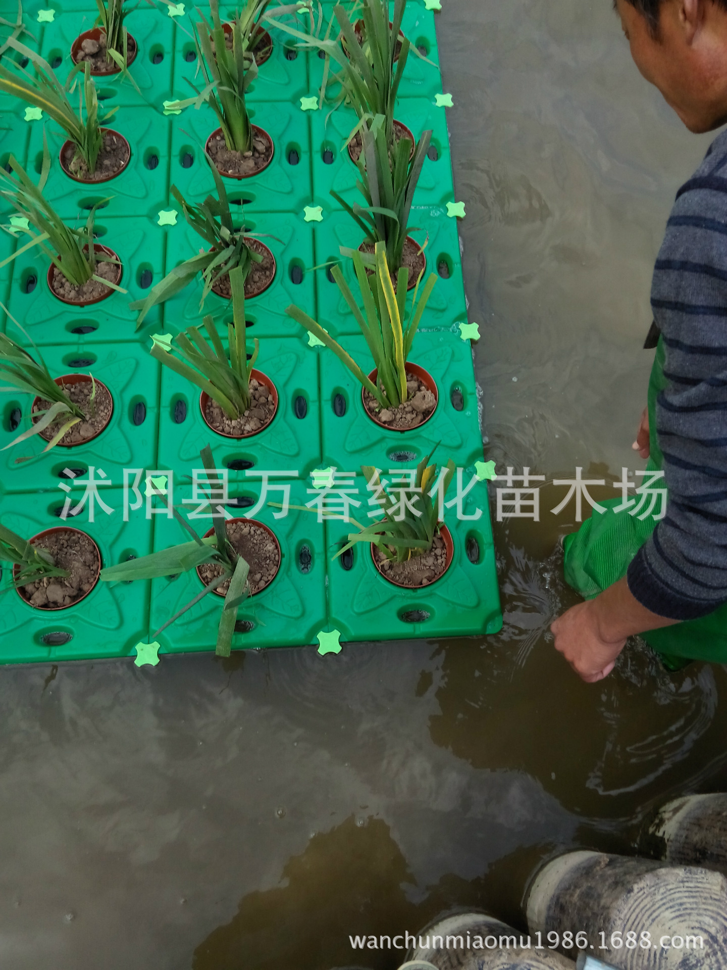 IMG_20131031_153350_1