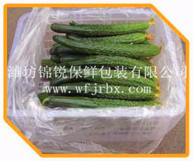 黄瓜_副本 - 副本