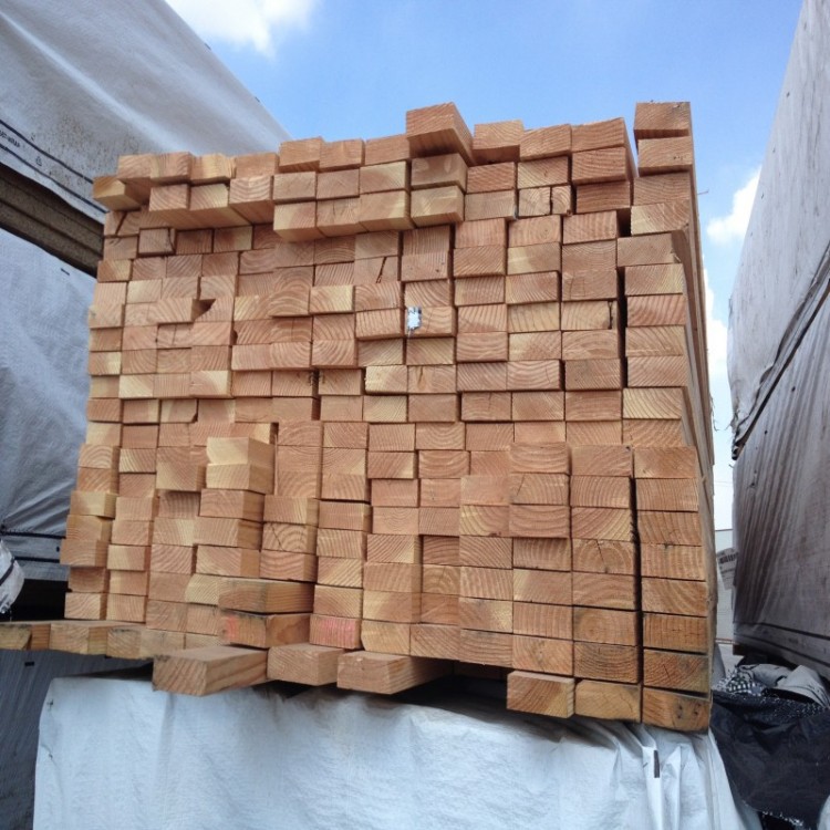 conew_conew_img_0354