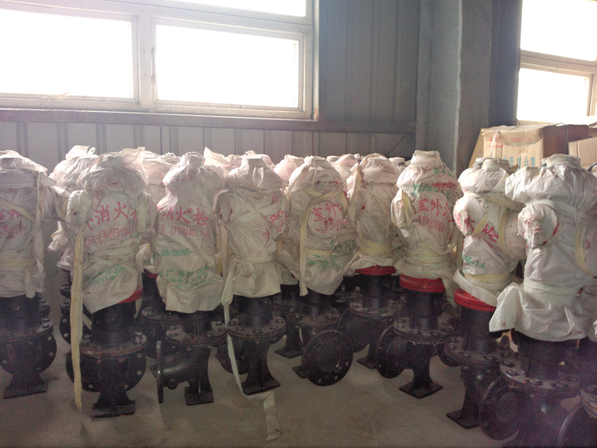 【厂家直供地上消防栓DN100】