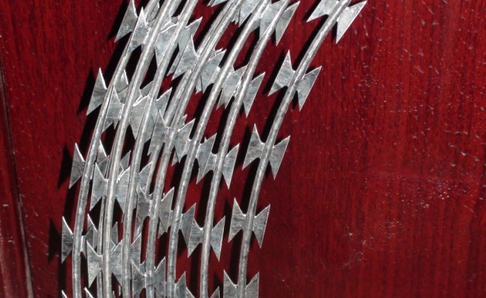 560311_af66d179ba671ccf8e84931