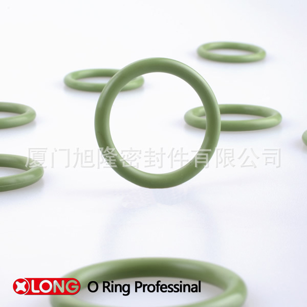 O ring5