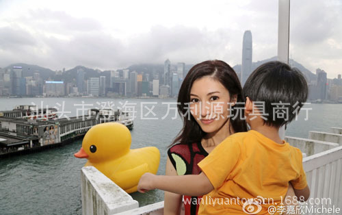 大黃鴨廣告圖