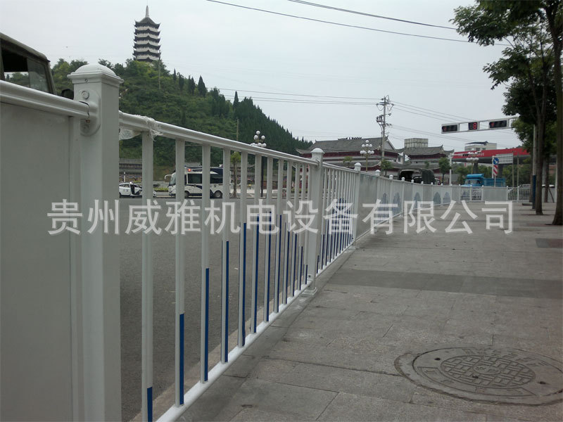 照片-0166
