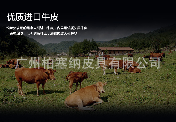 細雨紋詳情改_32