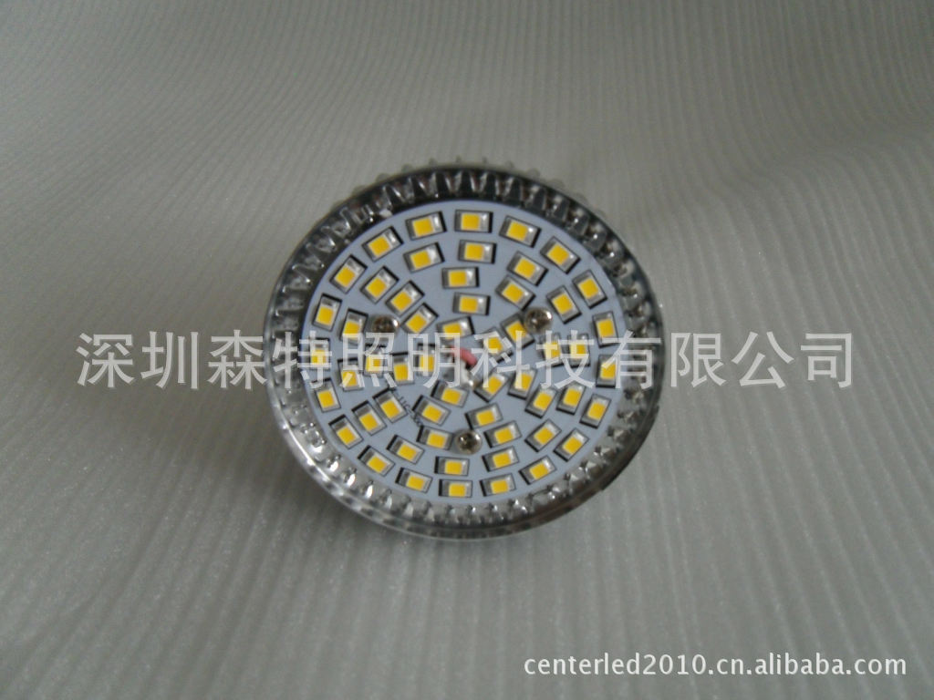 SDC11809