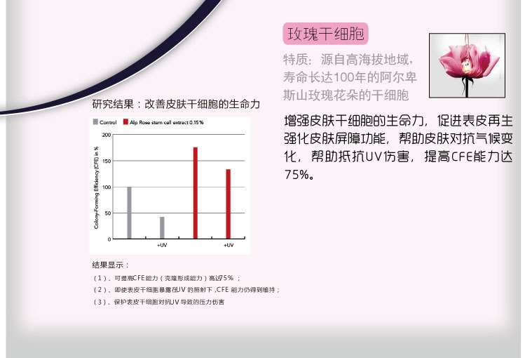 玫瑰泉能精華液4_03