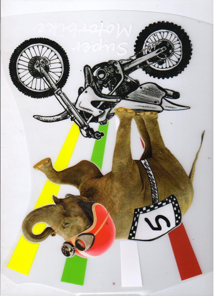 供应服装数码印花 尺码标热转移印花 反光烫画