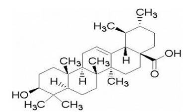 熊果酸 ursolic acid 50%