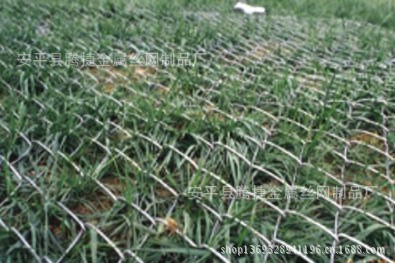 }B]6VW4FE{K4$21ZB}IVX_0