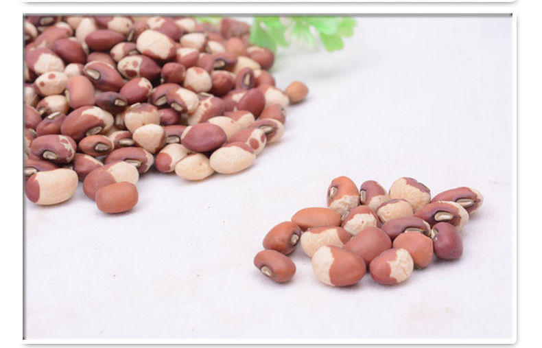 【农家自种 江豆 花豇豆 纯天然原生态五谷杂粮