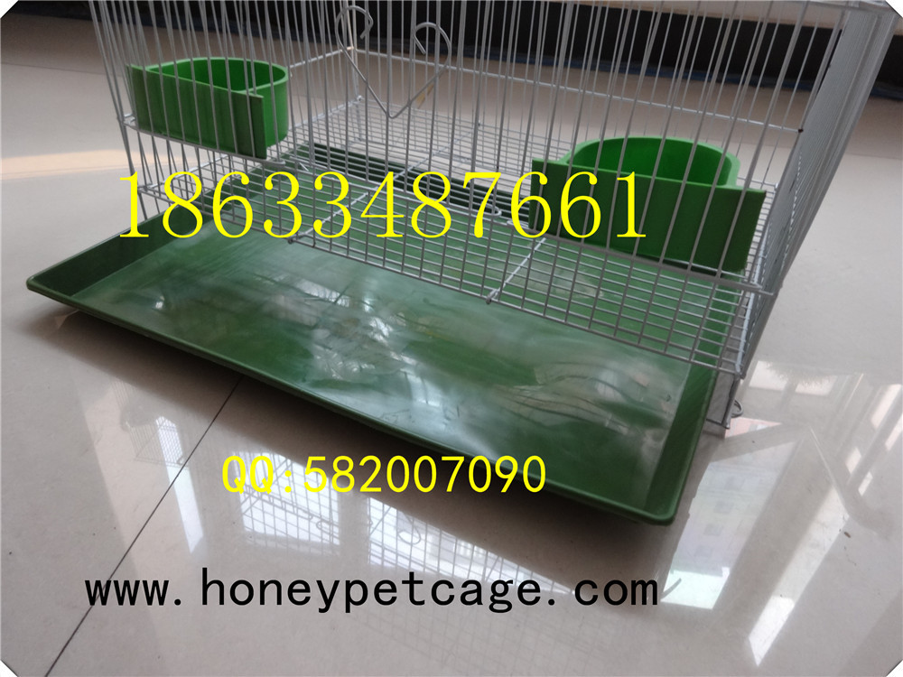 铁丝鸟笼 小群 (22)