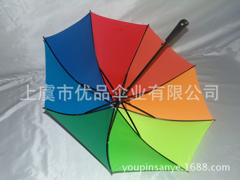 DSC00310