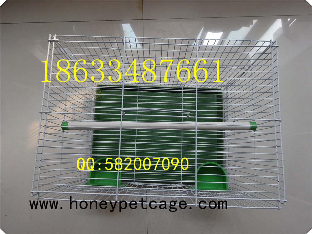 铁丝鸟笼 小群 (9)