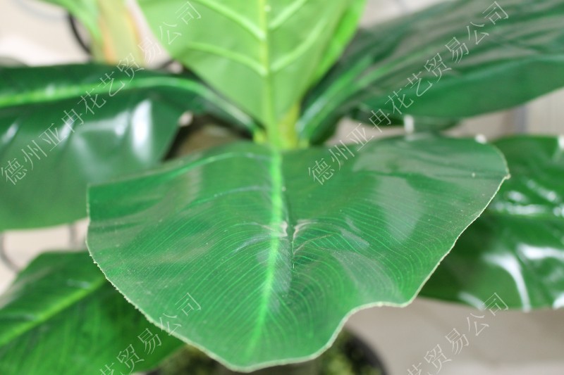 发采购仿真植物-仿真植物 宽叶鸿运当头 凤梨
