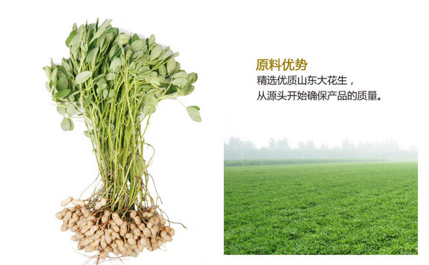 批發(fā)團(tuán)購(gòu)5L裝魯花5S壓榨一級(jí)花生油/魯花花生油鄭州總代理/