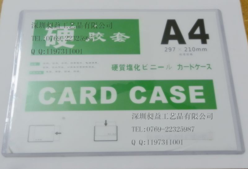 DSCN0404