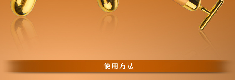 T13