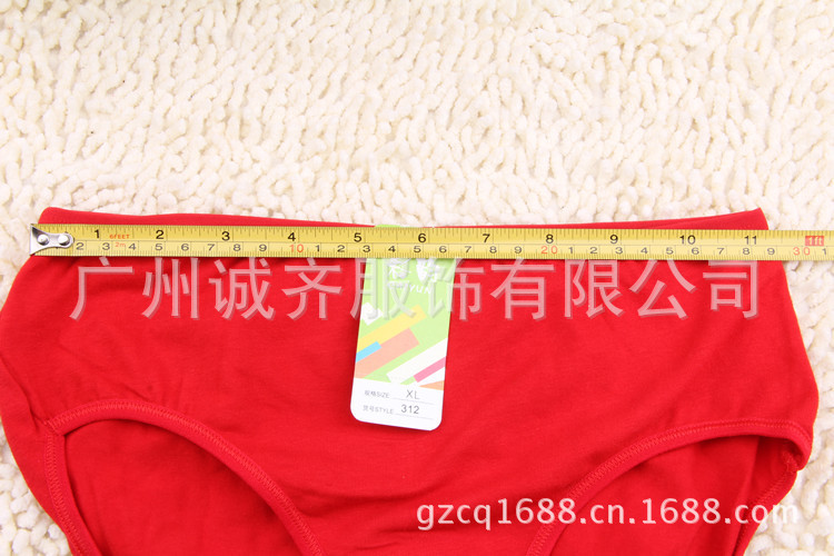 GS673 纯色女士内裤 (24)