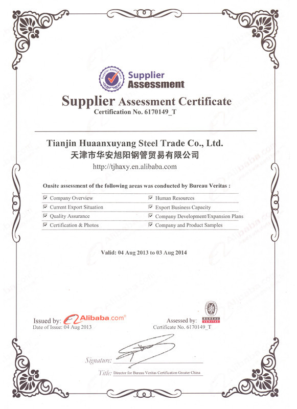 Assessed supplier_Alibaba.com-