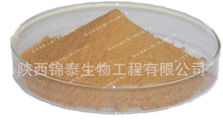 加水印黄棕色02