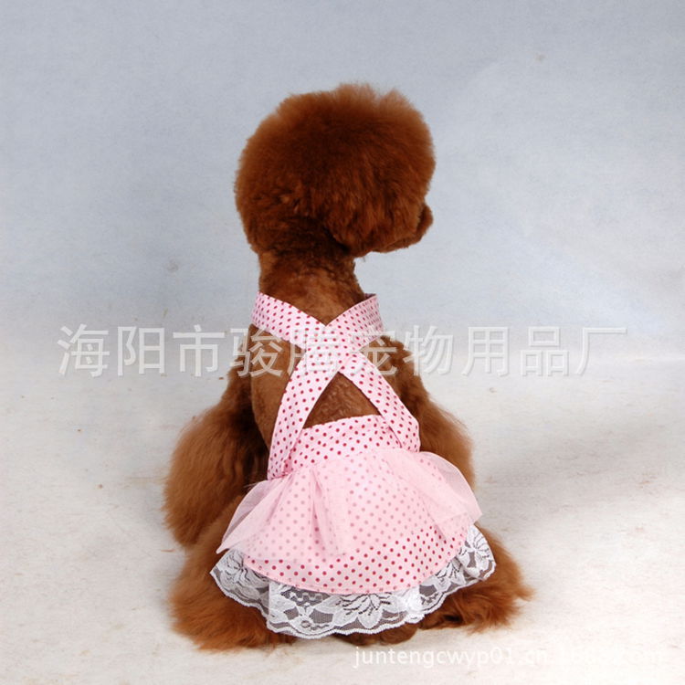 nEO_IMG_CAT_8016_副本