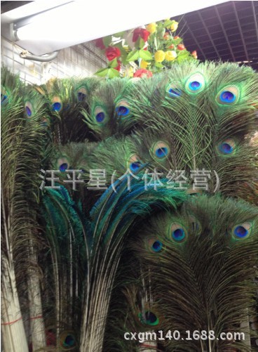 QQ图片20130921183208