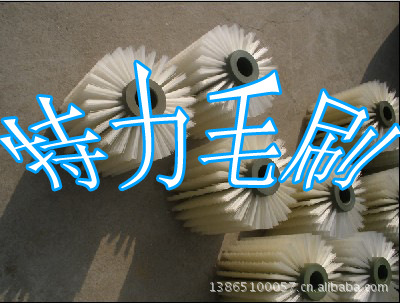 毛刷辊3