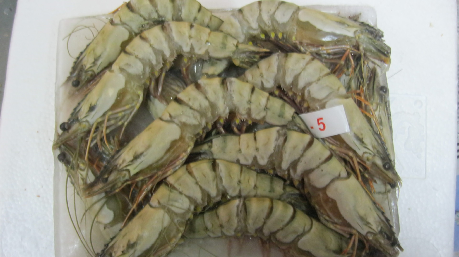 【供应冷冻品 各种肉类冷冻品 大明虾 冷冻品批