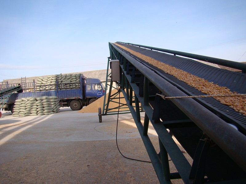 【大量供应优质 玉米胚芽 蛋白粉 玉米糠】