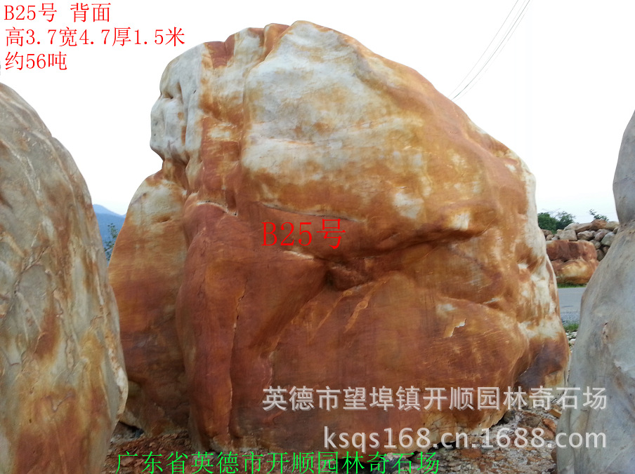 B25号背面