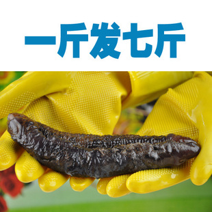 ȥƤȥ൭Ѳ Ӹɻ ҰδӦƵ