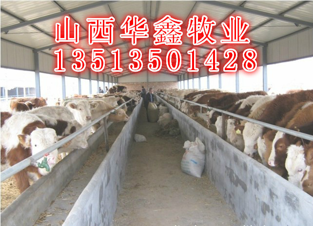 QQ图片20130731100111_meitu_4