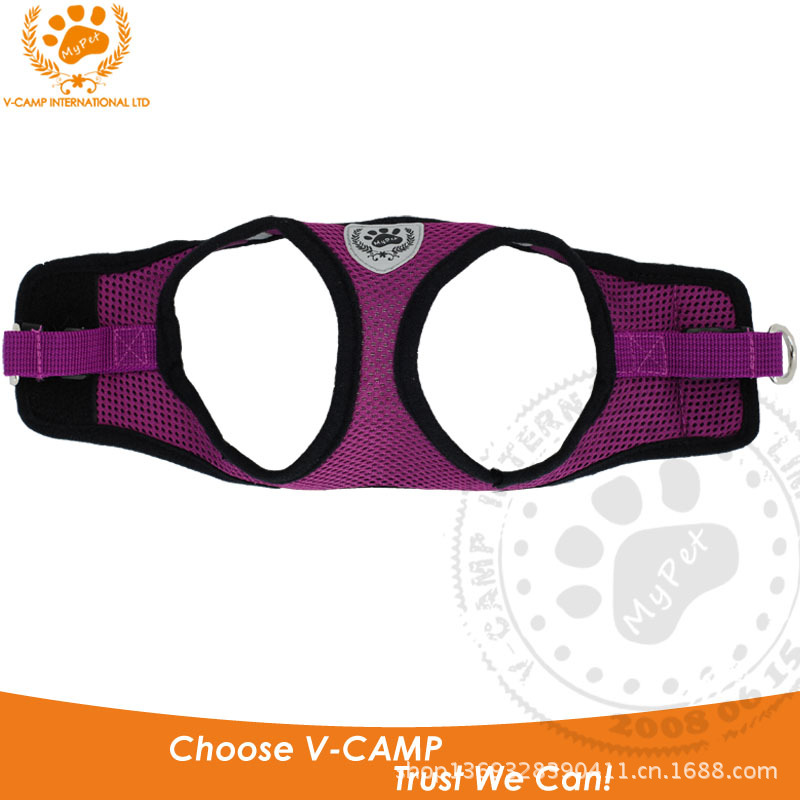 VP-HC1106 Purple-7