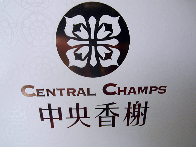 手提袋-中央香榭11