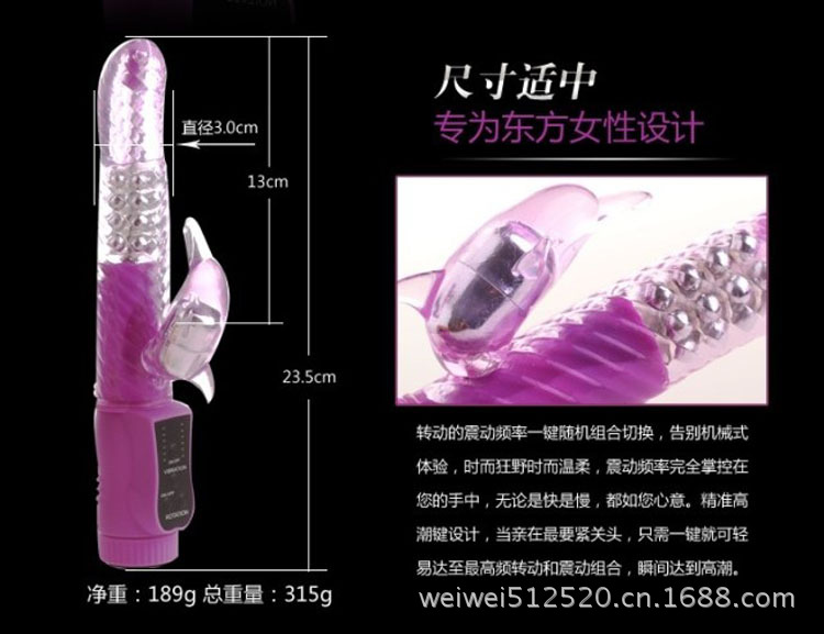 邦愛無敵海豚09