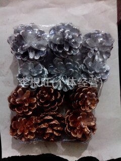 照片 002