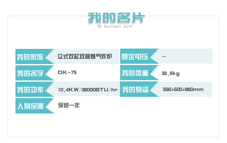 立式单缸双筛燃气炸炉75