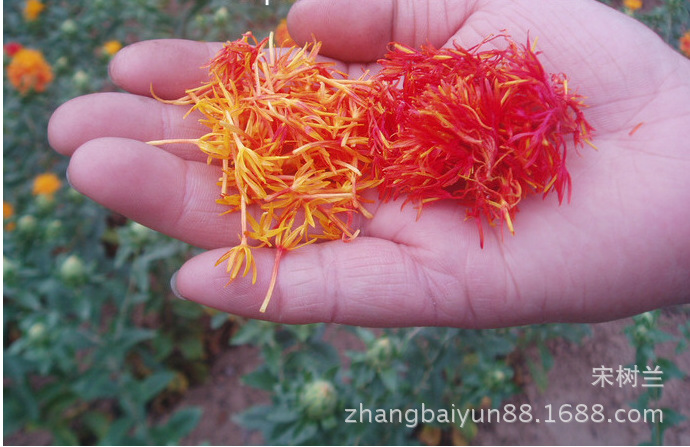 批发草红花,红花冬天泡脚必备,中药泡脚,足浴,活血驱寒,风湿中药