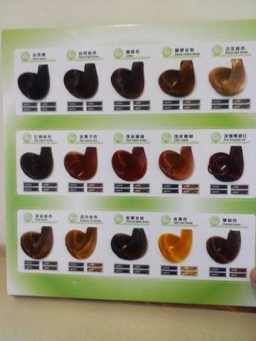 【供应染发膏毛板 色版 发色卡】价格,厂家,图片,其他美发造型用具,广州千一色美发用品有限公司-马可波罗网