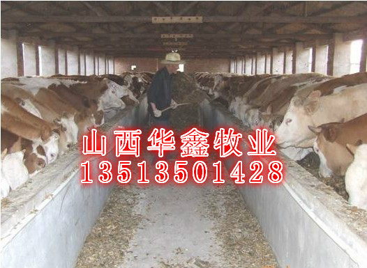 QQ图片20130731095958_meitu_3