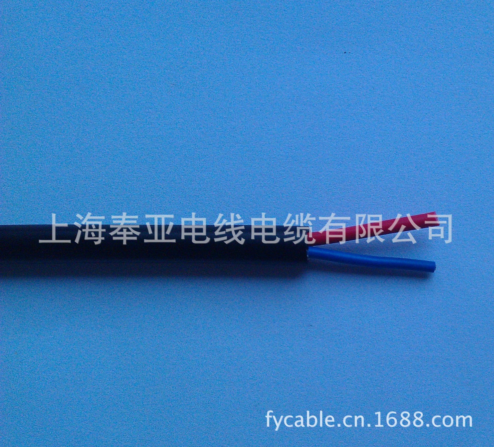 IMAG0399
