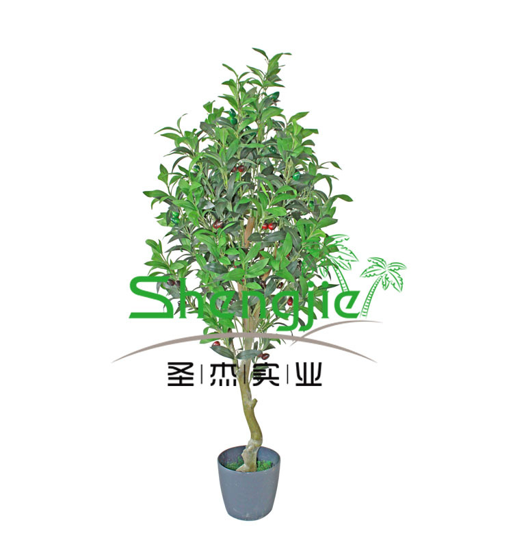 仿真橄榄树01
